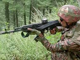 Army foils intrusion bid on LoC, Pakistani terrorist gunned down