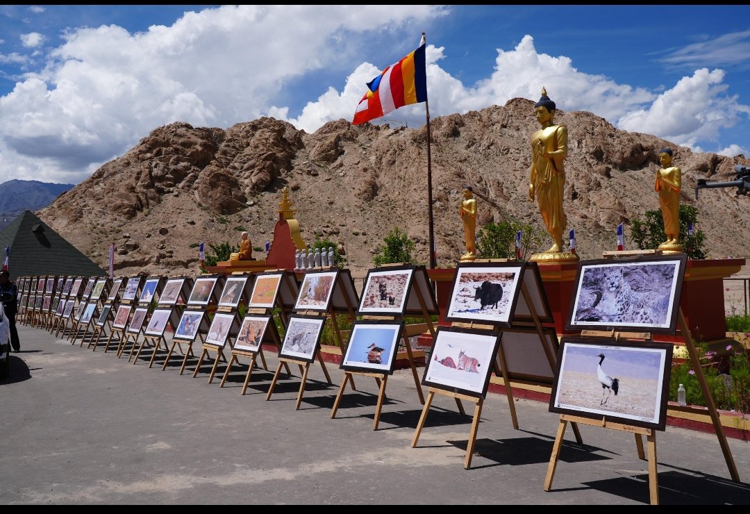 Conservation of black-necked Crane cannot be separated from Ladakh’s high-altitude ecosystems; LG Saxena