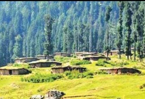 J&K Govt sets out framework for protection of forests, tribal rights