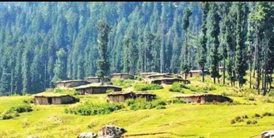 J&K Govt sets out framework for protection of forests, tribal rights