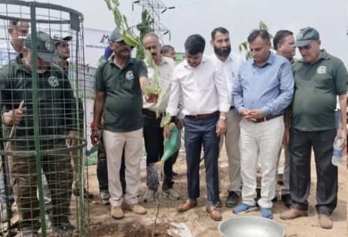 JMC, Urban Forestry organise Miyawaki plantation drive