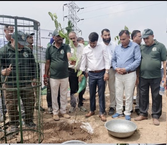 JMC, Urban Forestry organise Miyawaki plantation drive