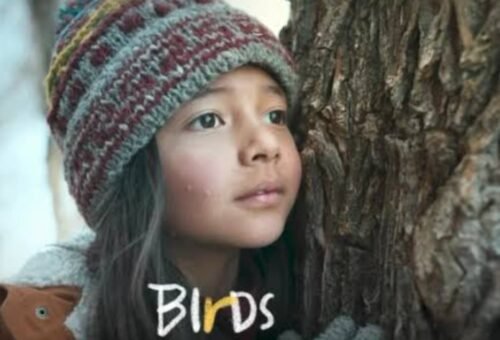 Chief Secretary unveils poster of Ladakhi film ‘Birds on Ice’ ahead of Busan world premiere