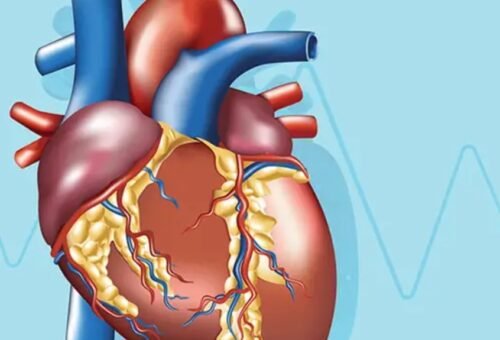 Know Your Heart Risk and Act Early: Dr Sushil