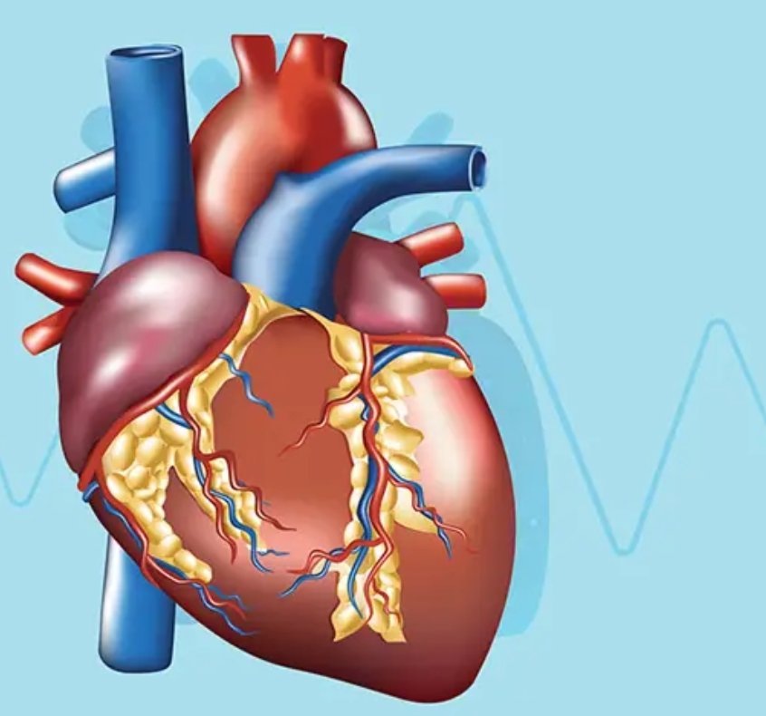 Know Your Heart Risk and Act Early: Dr Sushil