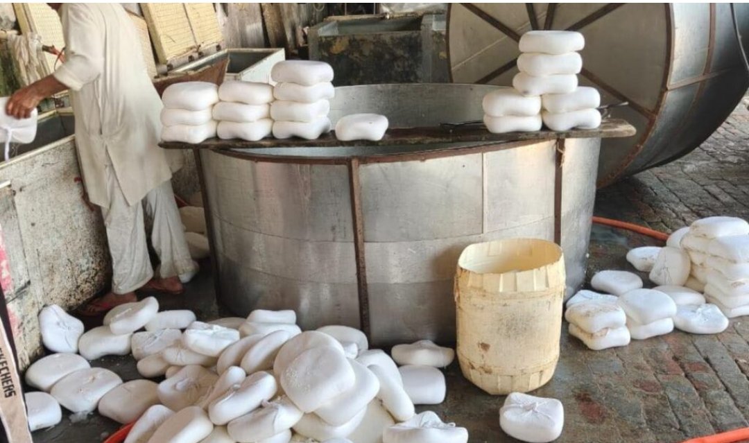 600 kg unsafe Paneer destroyed in Jammu
