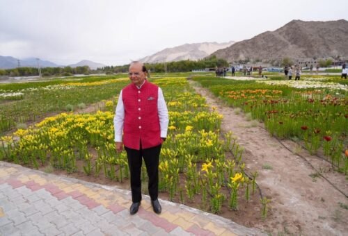 On PM Modi’s birthday Ladakh blooms with 25 lakh Lilium & Gladiolus flowers