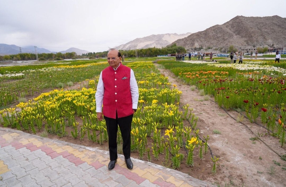 On PM Modi’s birthday Ladakh blooms with 25 lakh Lilium & Gladiolus flowers